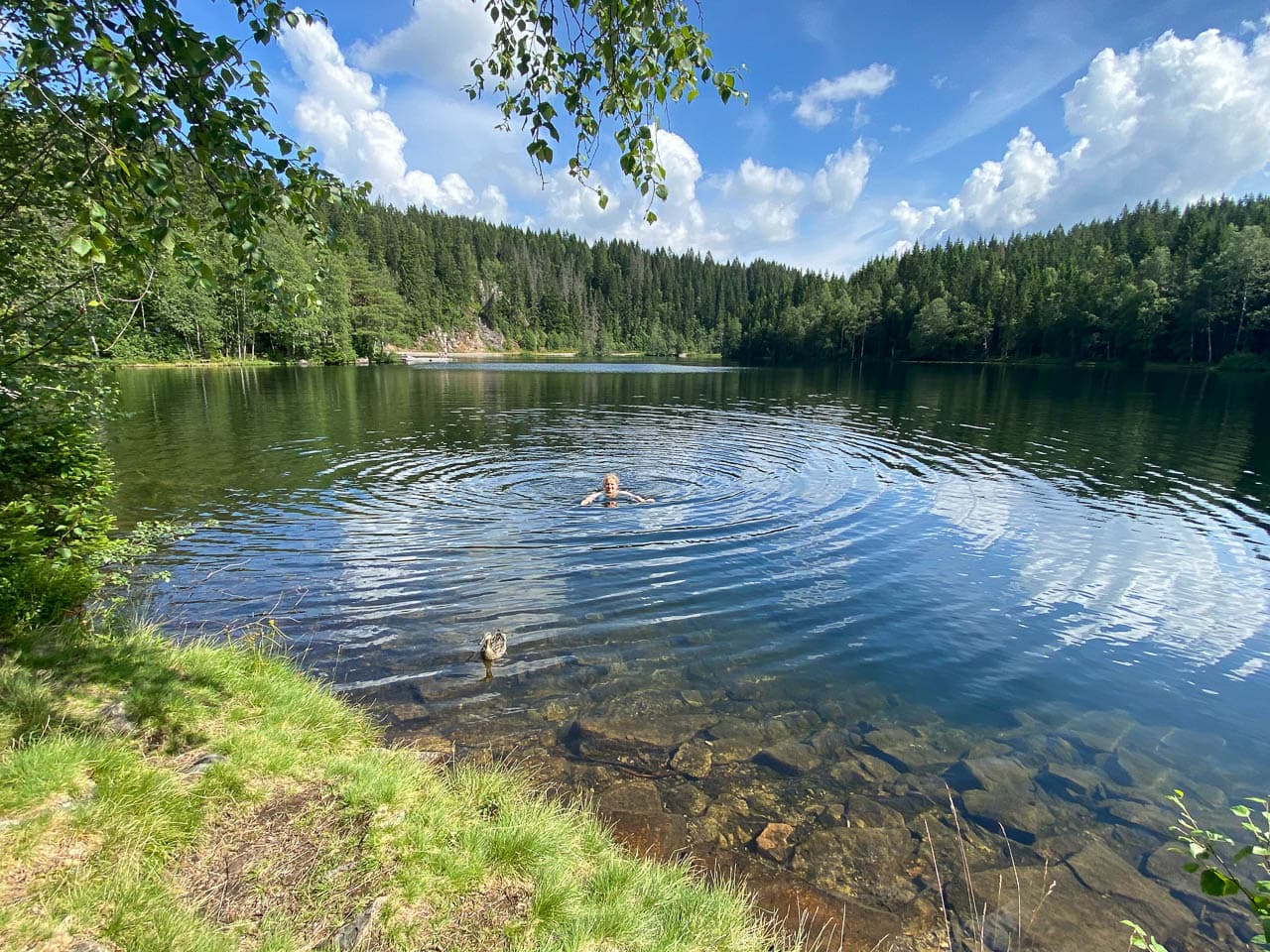 No1ola Img 5974 Bart De Winter