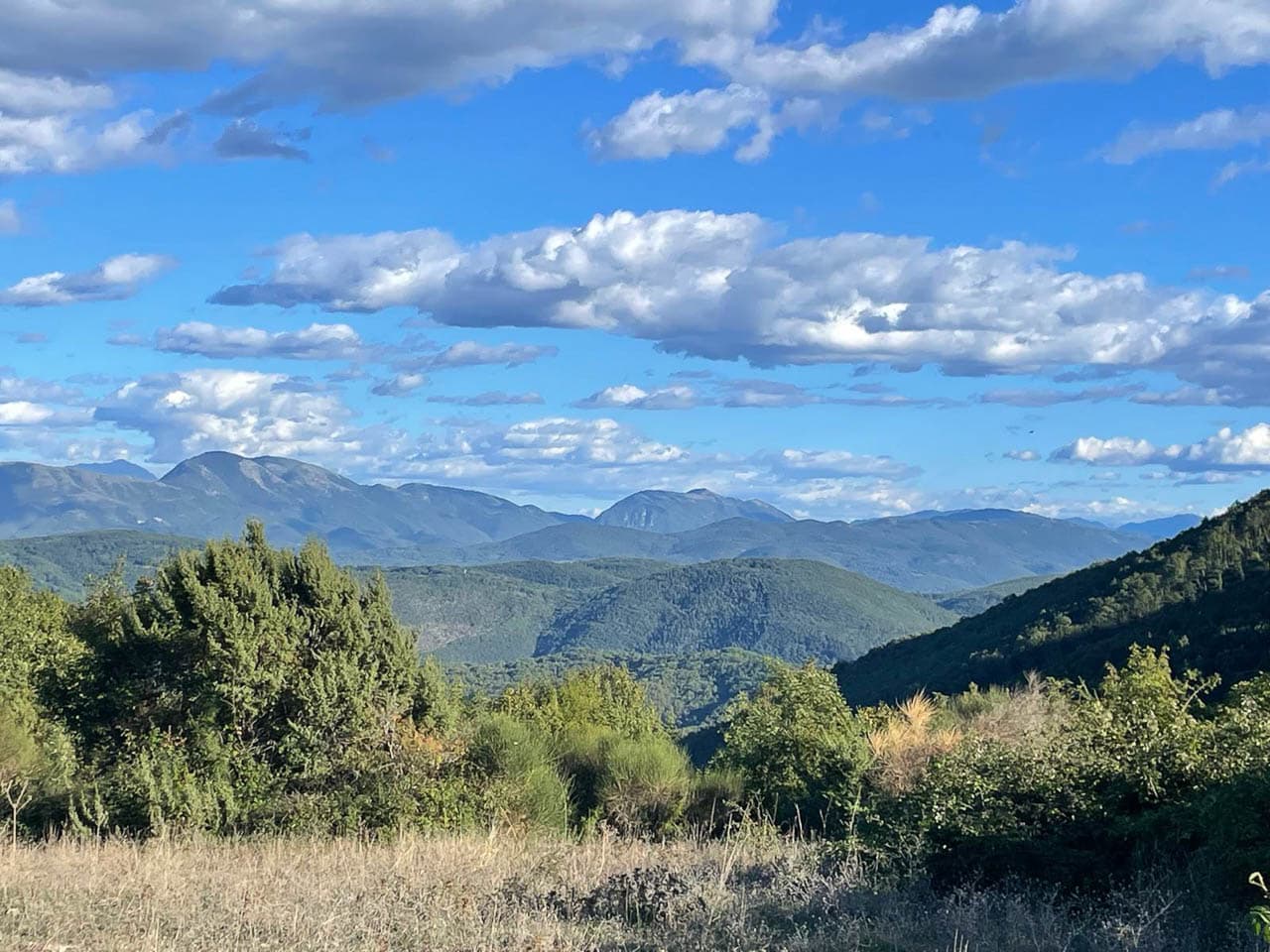 Selectie Whatsapp Image 2025 10 30 At 15.02.35 (6) Geert Oppeel