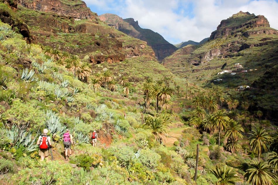 Gr12-87 La Gomera 09 luc lioen DSC_0149_export_w950
