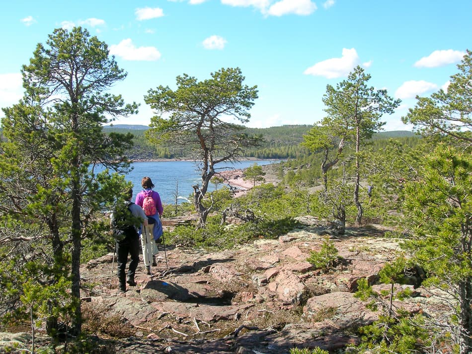 Hoge Kust Bart De Winter 2011 DSCN5953 Export W950