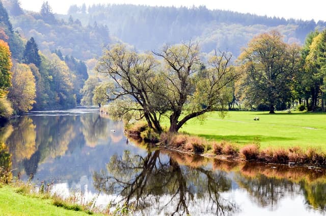 Bouillon - FTLB PWillems 5_export_w950