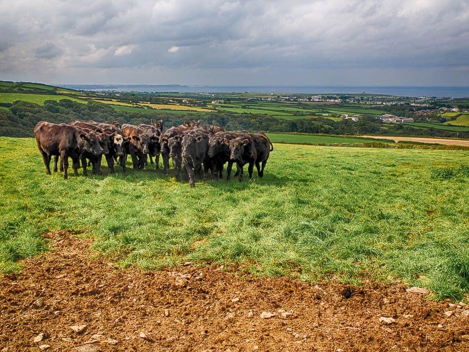 DSCF5949_HDR_Rudy De Maeyer_w950
