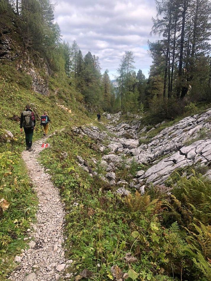 IMG-20210918-WA0090_Chantal Simons_w950