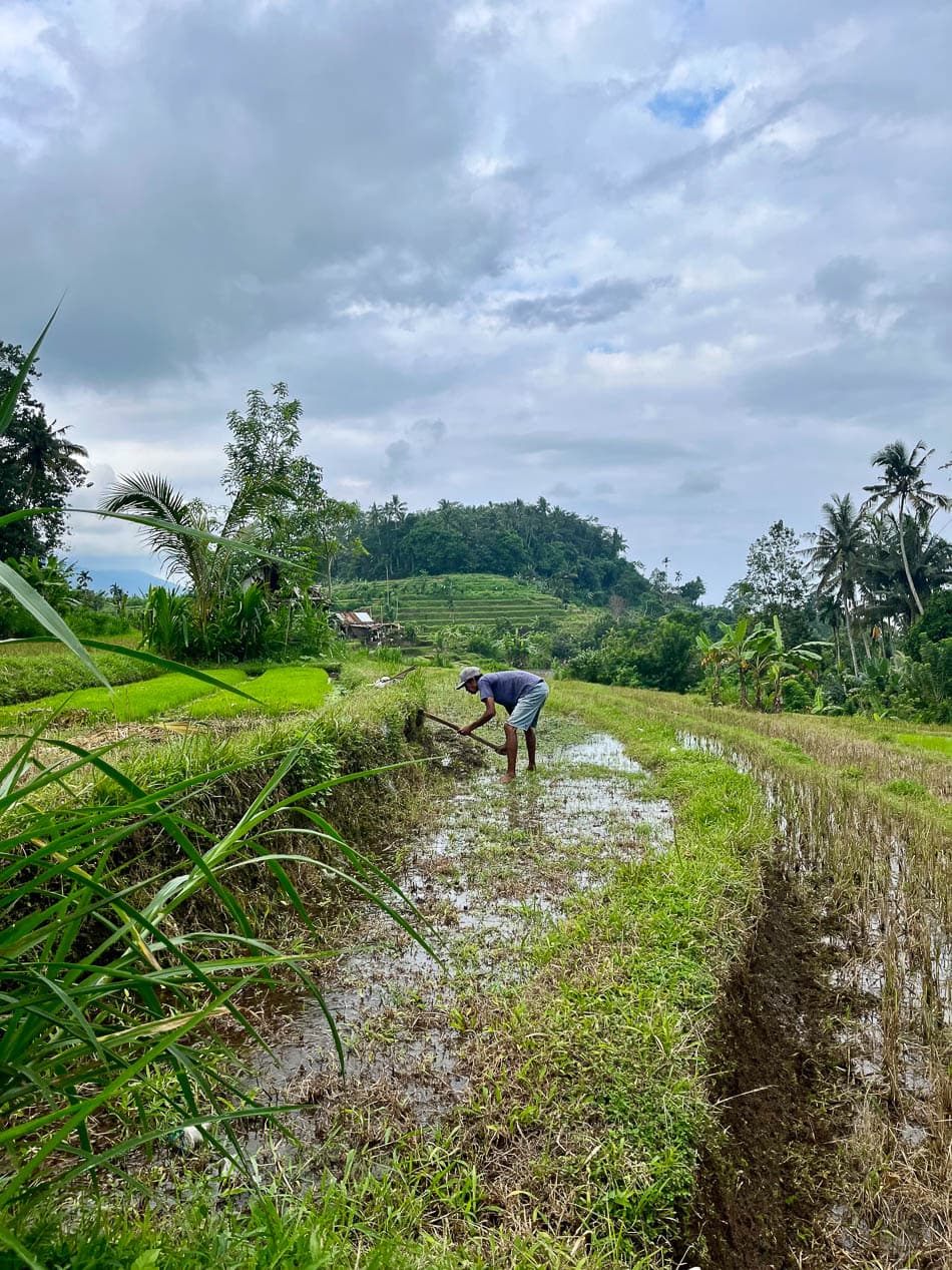 Image00001 Selectie Eveline Claes ID5JBA Eveline Claes W950