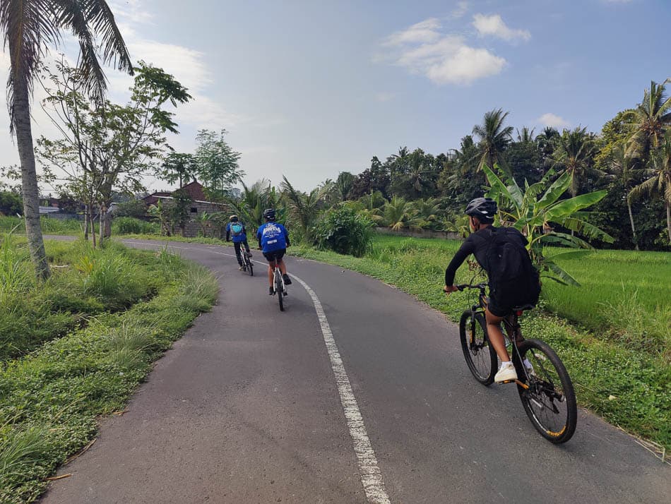 MTB Downhill Sarah Westelinck ID5JBA Sarah Westelinck W950