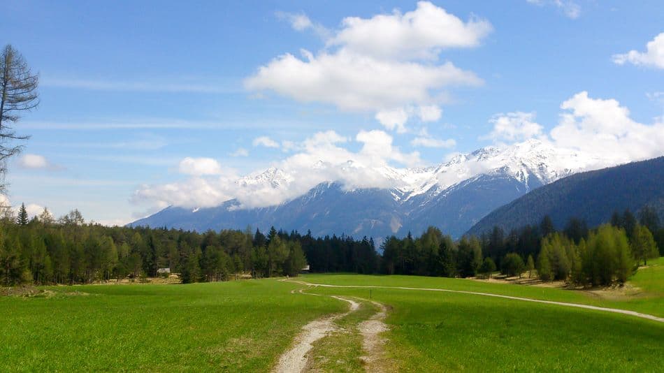 DSC_0896_export_w950