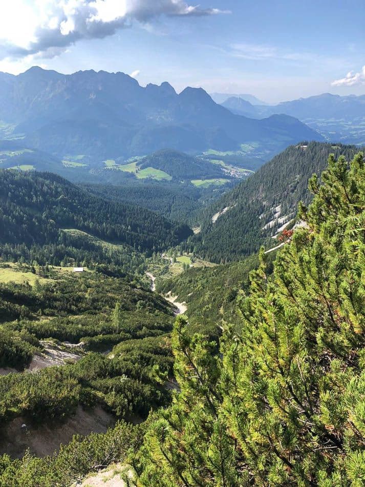 IMG-20210918-WA0048_Chantal Simons_w950