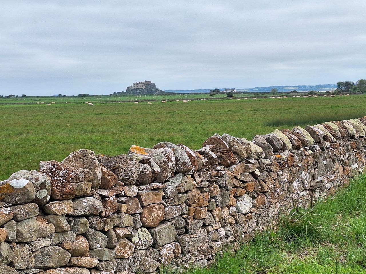 Selectie 20240519 145509 Willy Stoelzaet