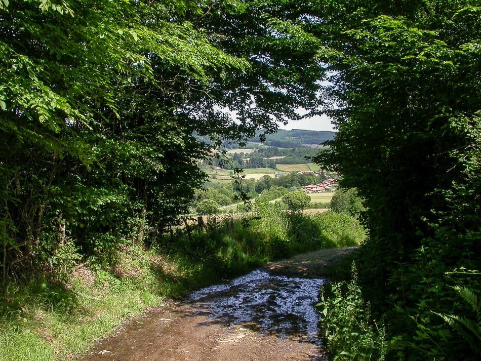 Beuajolais-06-Paul-Peeters-4-naam-vermelden_export_w950