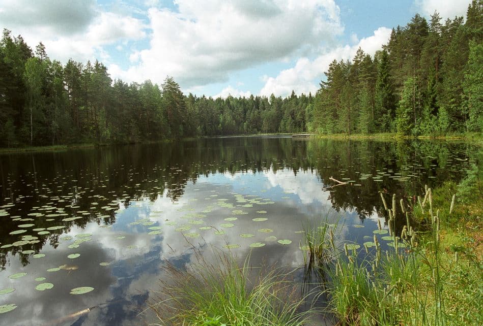 Finland-05-Eddy-Knops-7_export_w950