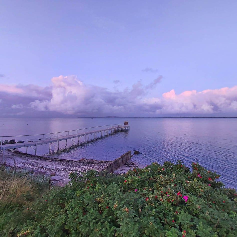 whatsapp-image-2021-10-09-at-_katrien-boon_w950