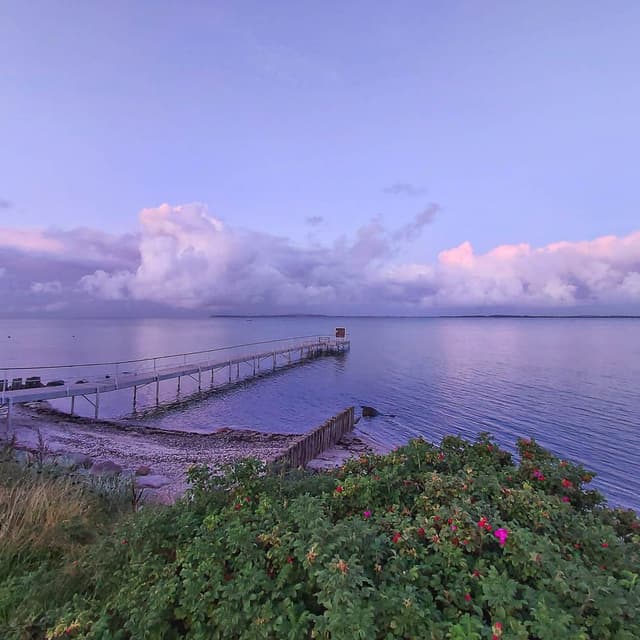 whatsapp-image-2021-10-09-at-_katrien-boon_w950