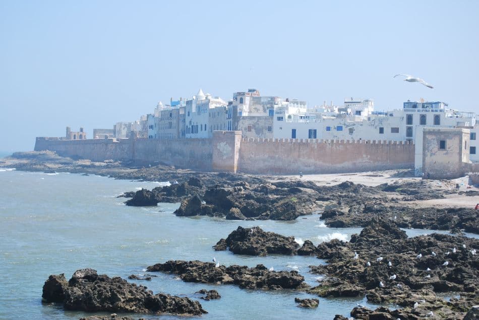 Zeekamelen 13 Emilie DHollander DSC_0370_export