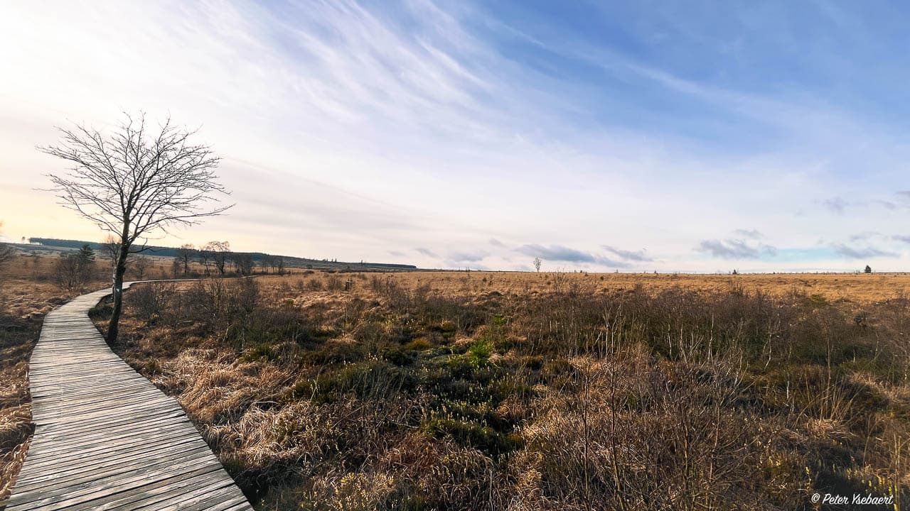 Venntrilogie 20 Ysebaert Peter Peter Ysebaert W1280