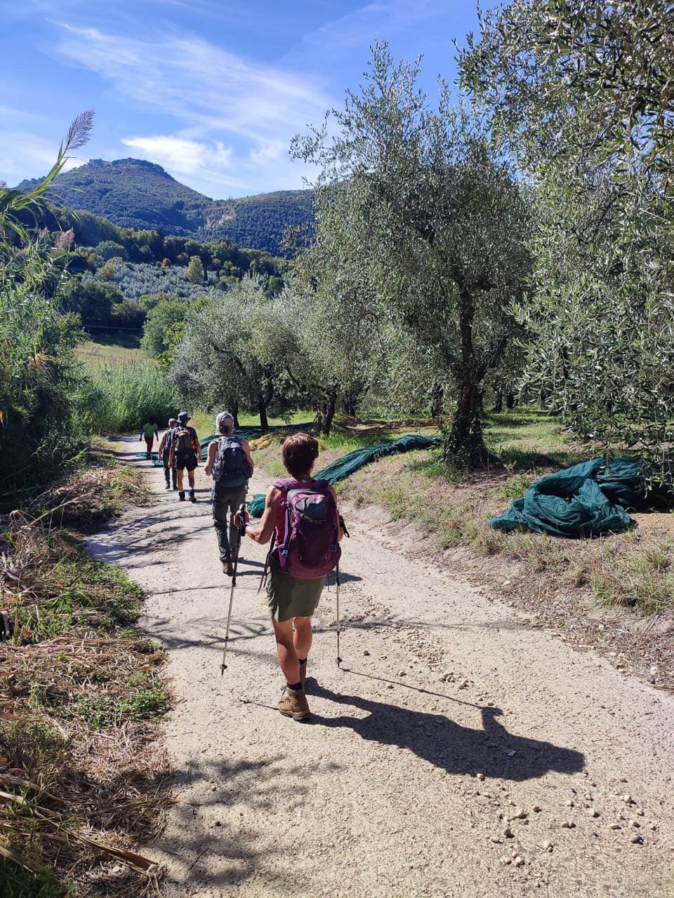 Selectie Whatsapp Image 2025 10 30 At 15.04.03 (5) Geert Oppeel