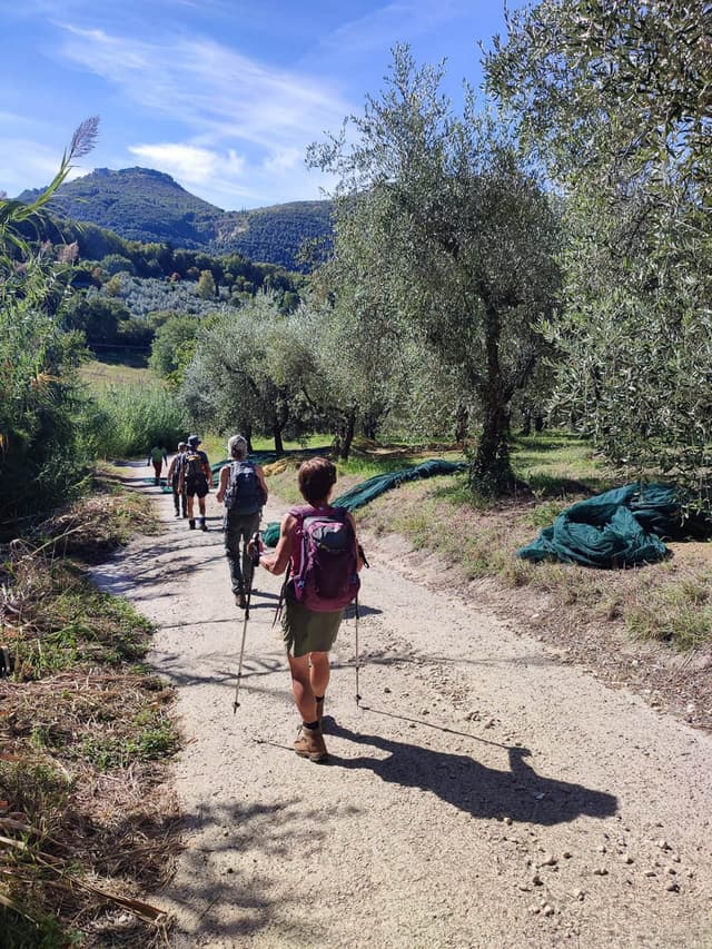 Selectie Whatsapp Image 2025 10 30 At 15.04.03 (5) Geert Oppeel