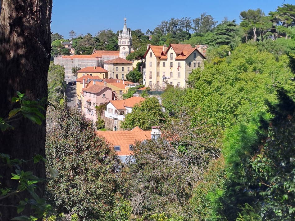 20230415_160057-23PTALA1--w950