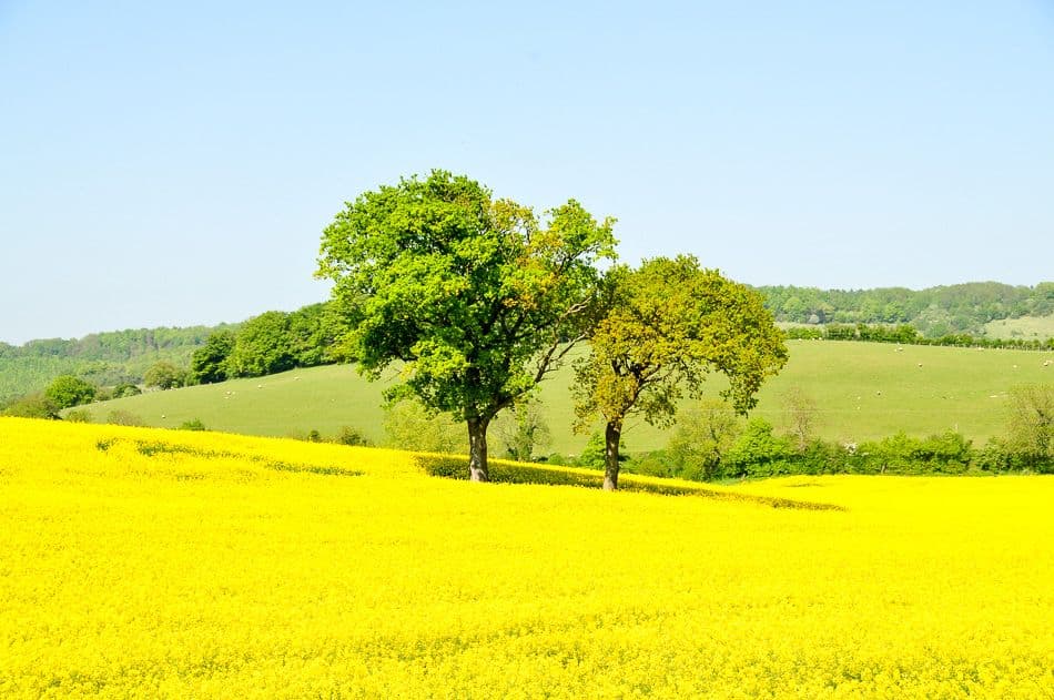 kent-vdeynde-patrick-4966_export_w950