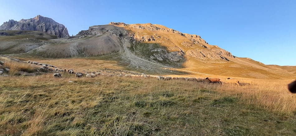 20210821_194941_Olivier Hoey_w950