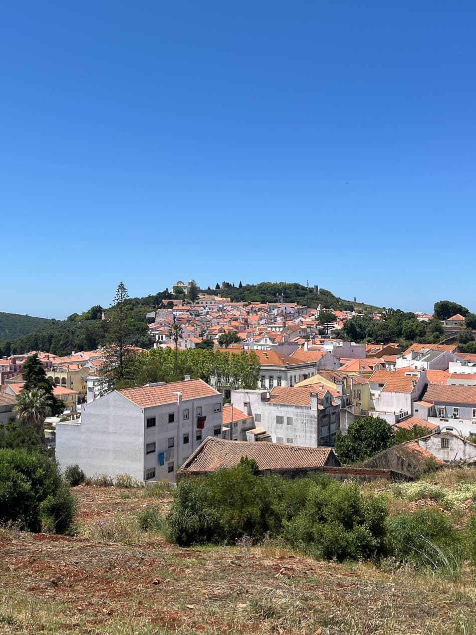 Image00014 PT6ALA Agent W950