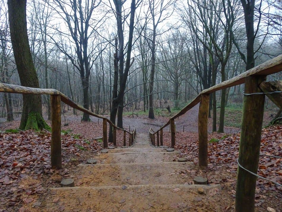 DSC00975_Johan Van Malderen_w950
