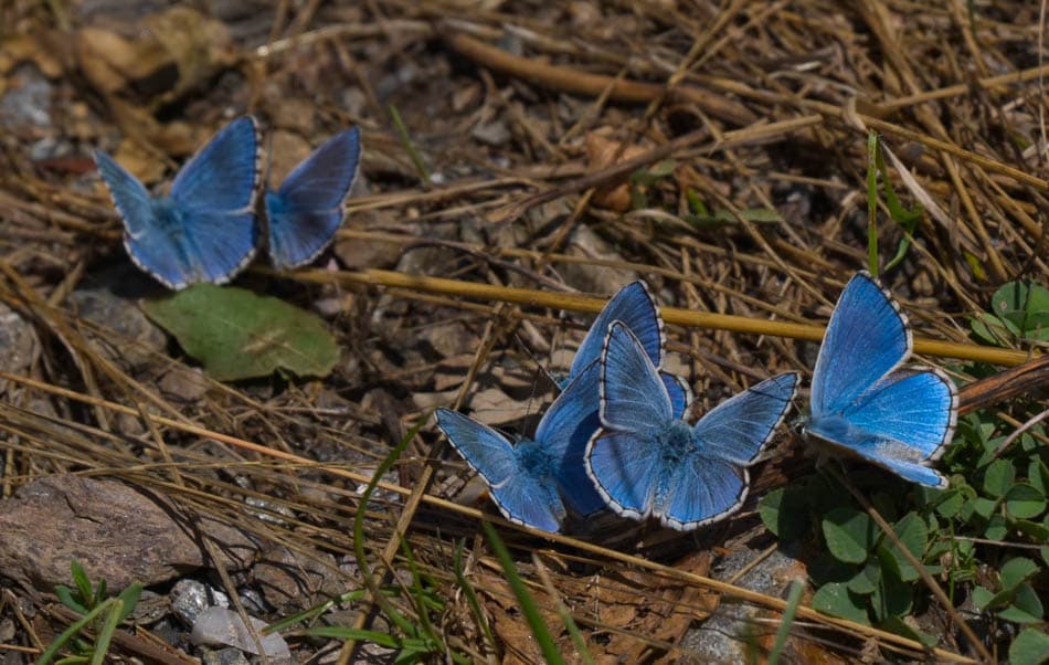 Leen Jansen DSCF5104 Leen Jansen Leen Jansen W950