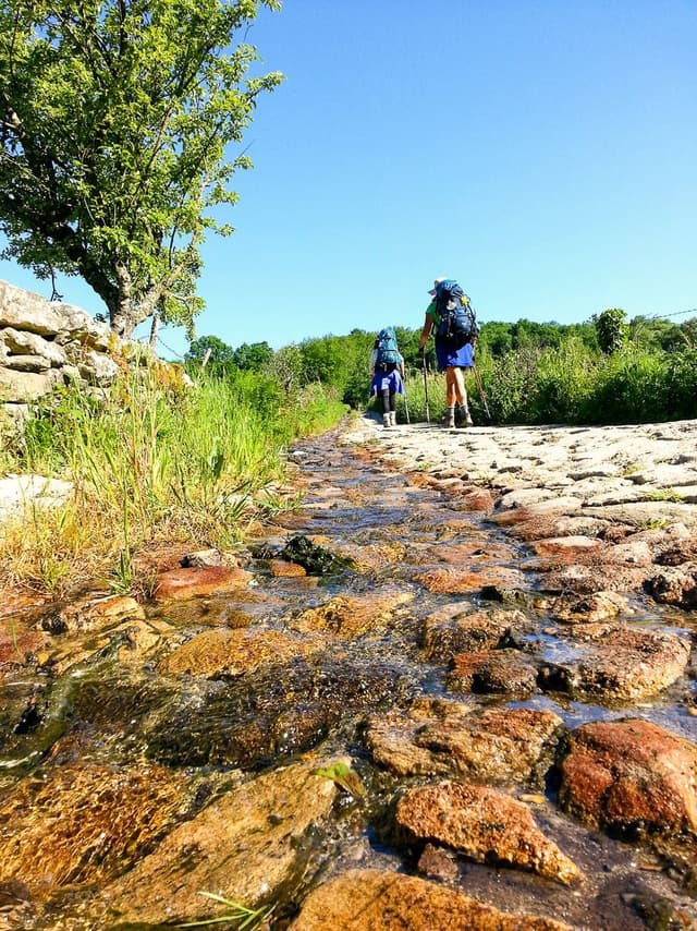 IND14-cov-20130614_102631Camino_2013_155-Kevin-Maes_export_w950