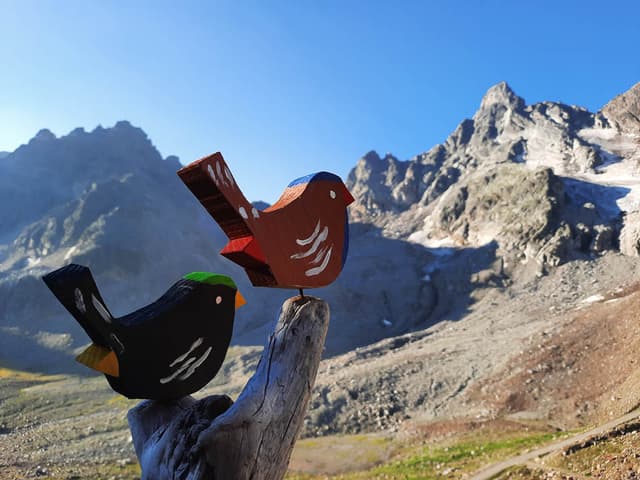 AT1SVA Davy Acke_20220725_074448_Davy Acke_w950