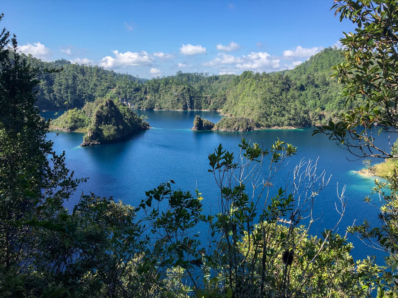 IMG 7303 Selectie Murielle Coppin W1280