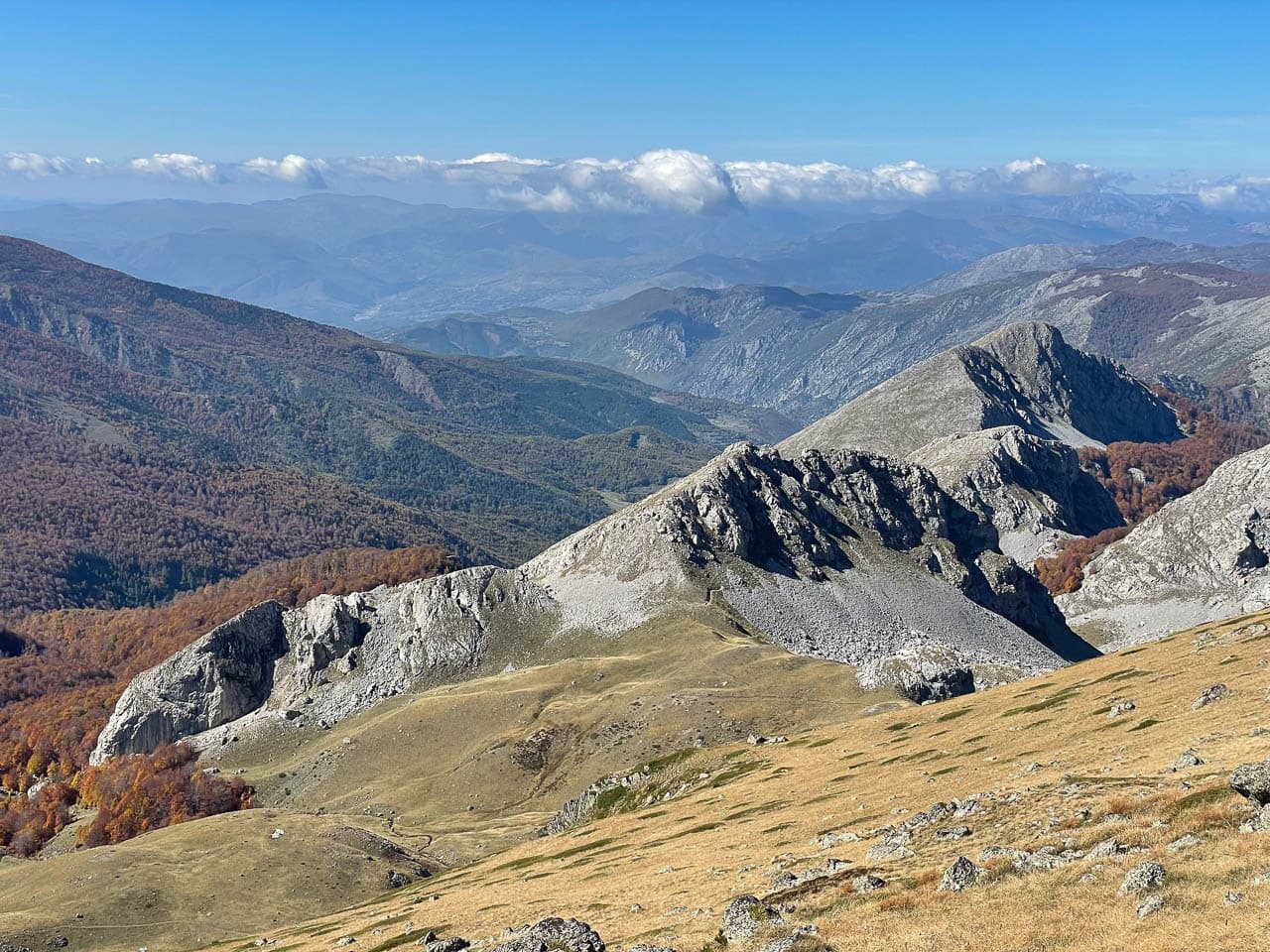 IMG 1386 Selectie Ruud Peten W1280