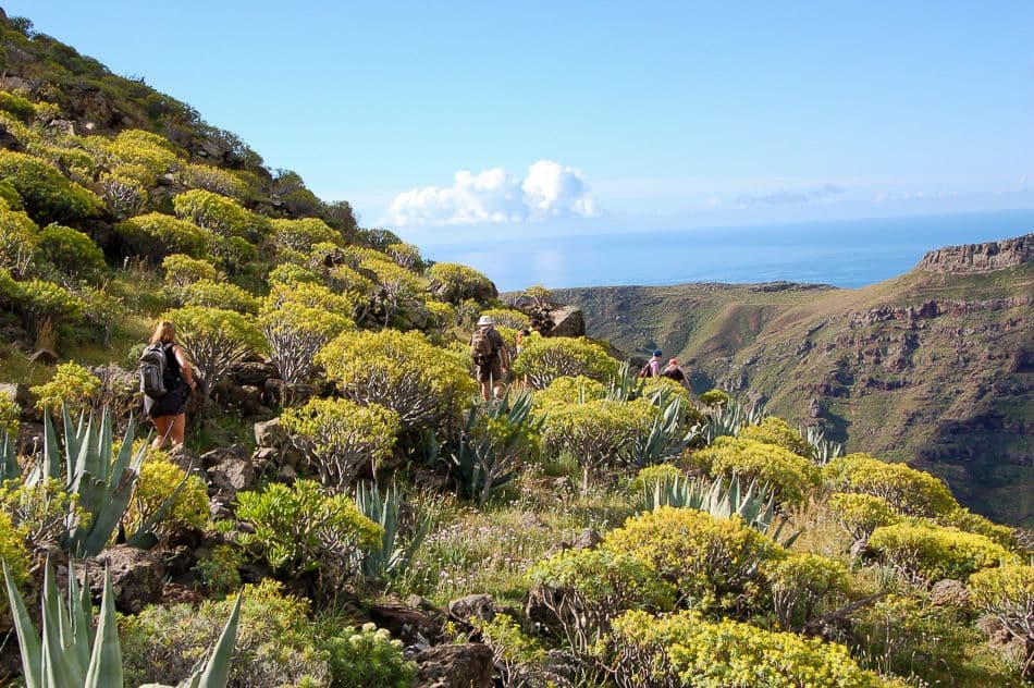 La Gomera 07 Luc Lioen 06_export_w950