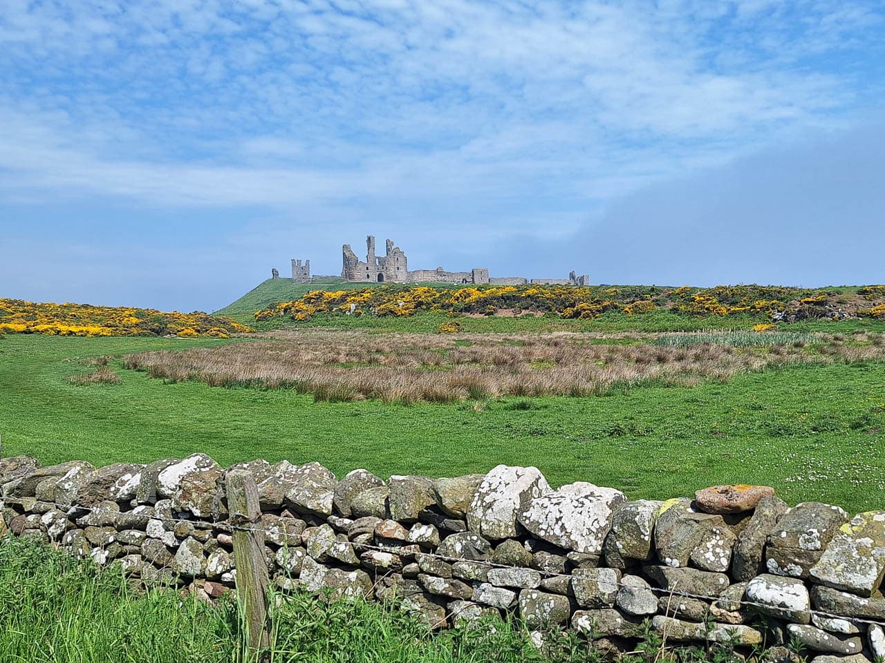 Selectie 20240518 120905 Willy Stoelzaet