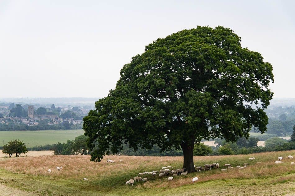 15GB088-12_Peter Cornelissen_w950