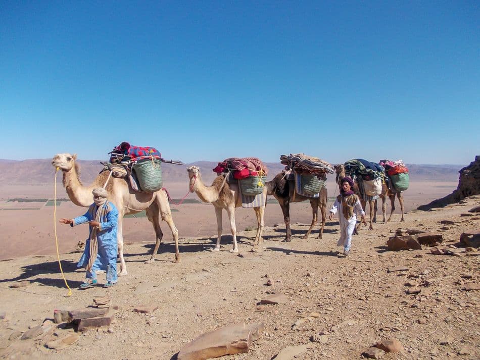 Marokko-5-13-april-2017-029_export_w950