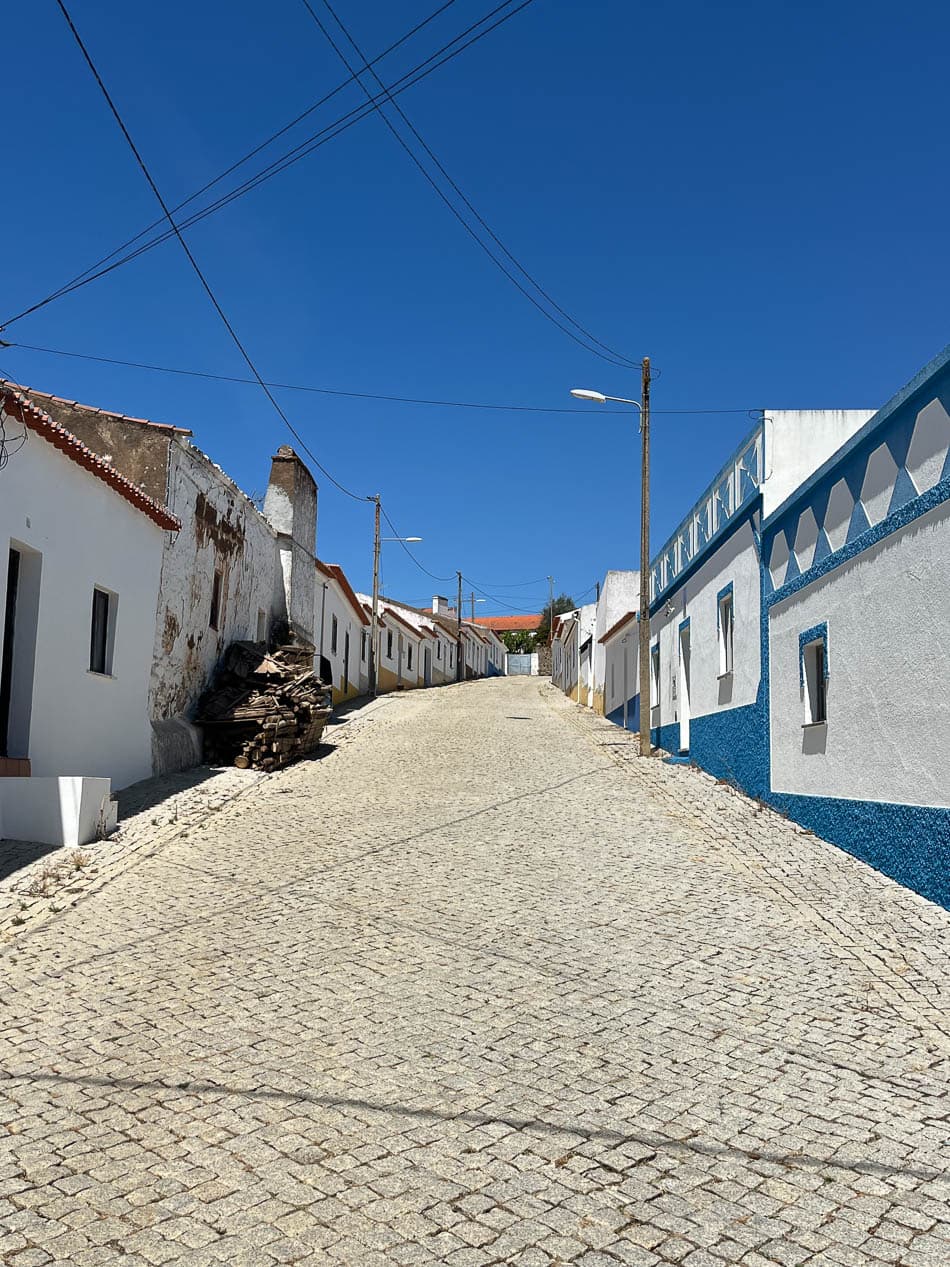 Image00001 PT6ALA Agent W950