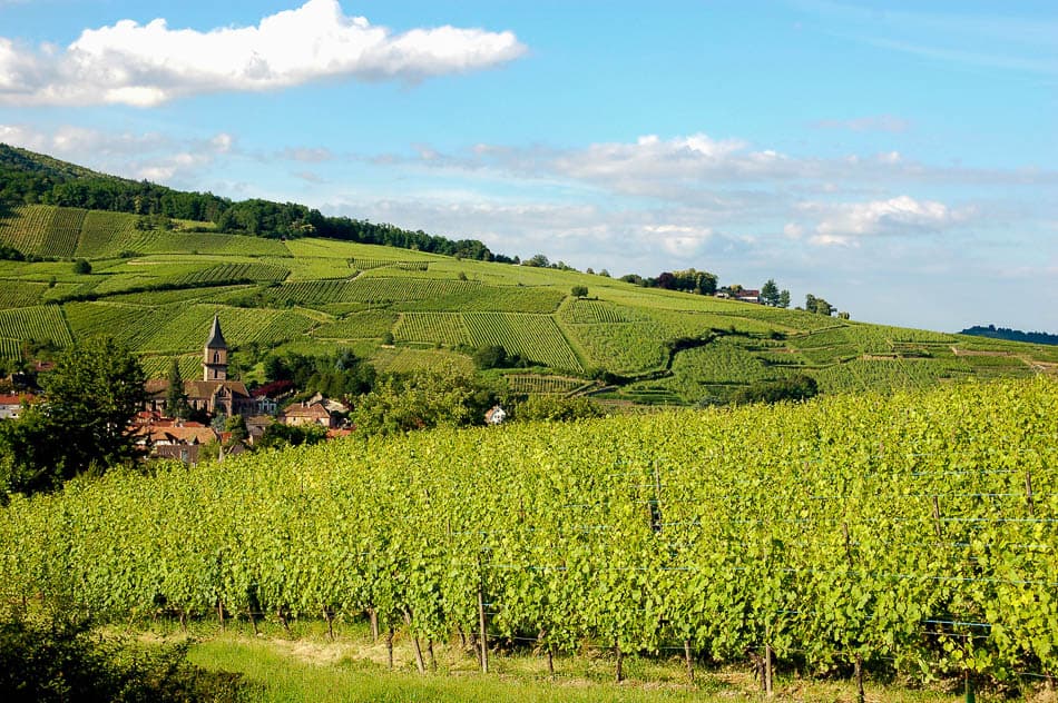 Alsace Velo Safrantours 11 FR6EZA Safrantours W950