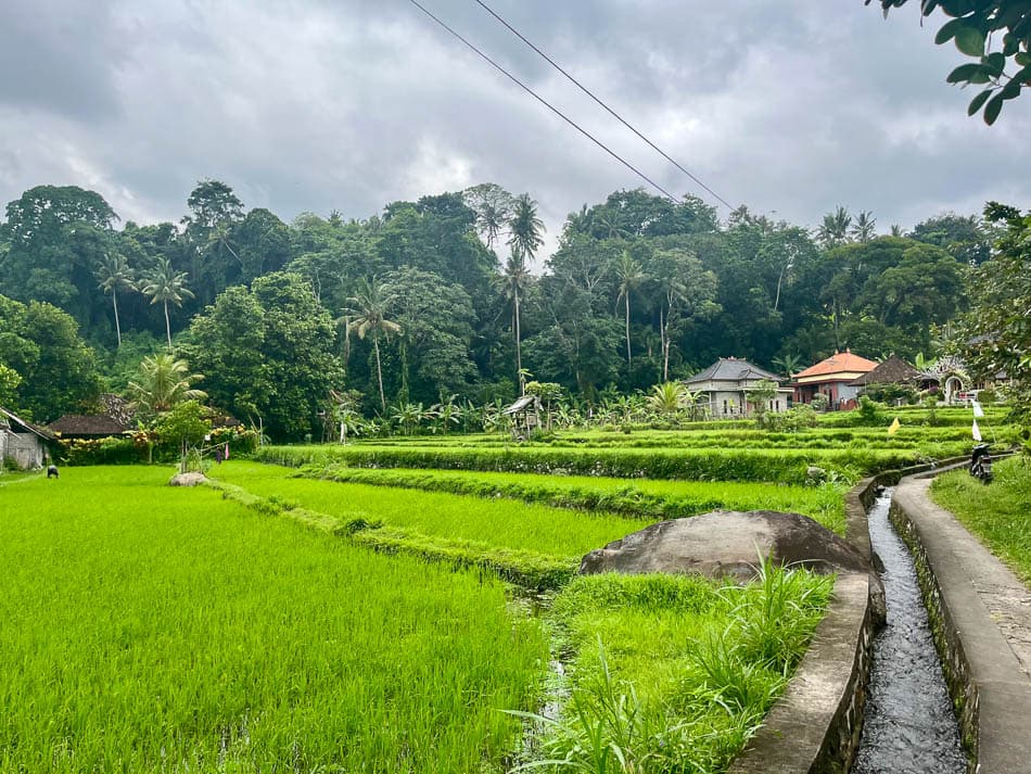 Image00002 Selectie Eveline Claes ID5JBA Eveline Claes W950