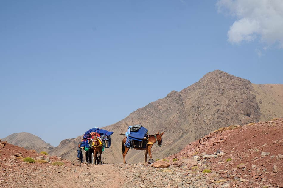 DSCF4886 Selectie Maarten Caversoons W950