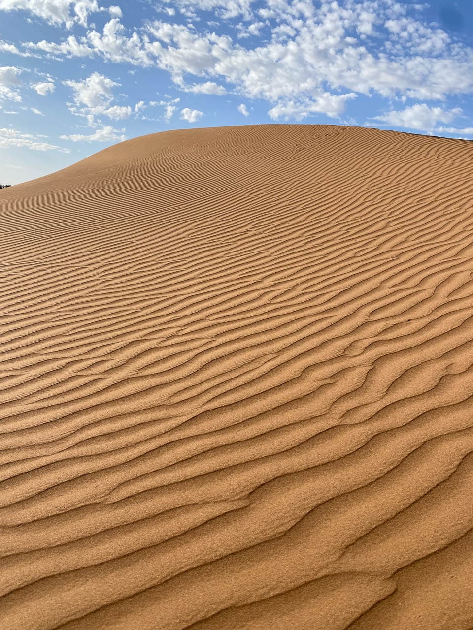 Marokko Rr3 IMG 8209 Uus Knops