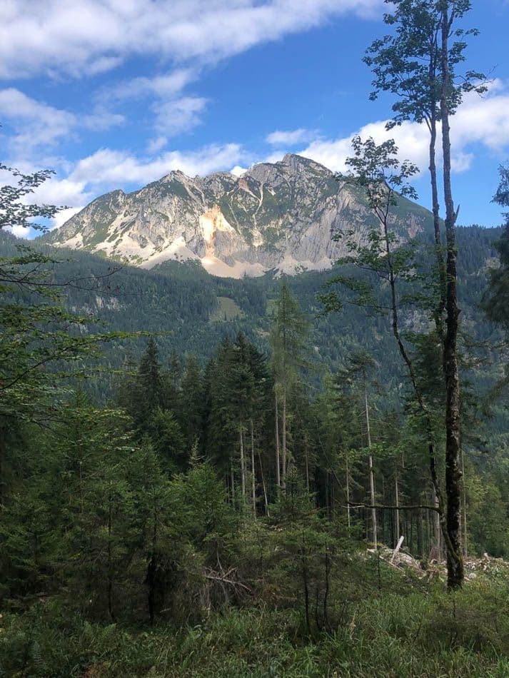 IMG-20210918-WA0074_Chantal Simons_w950